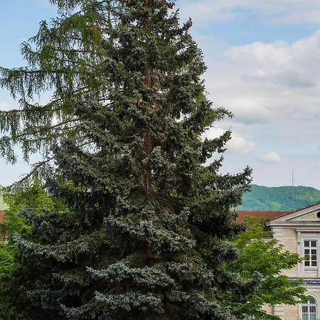 K-haus Hostel
